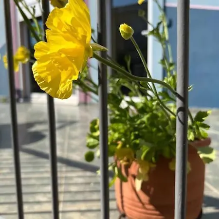 Vasiliki's House بيت للعطل